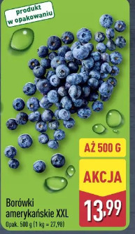 Borówki amerykańskie XXL