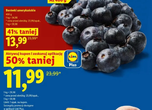 Borówki amerykańskie