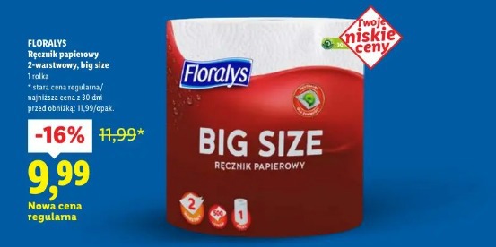 Floralys Ręcznik papierowy 2-warstwowy, big size