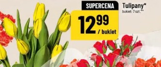 Tulipany