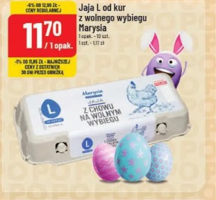 Jaja L od kur z wolnego wybiegu Marysia