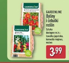 Gardenline Byliny i cebulki roślin Sztuka dostępne m.in.: tawułka japońska, konwalia majowa, malwa
