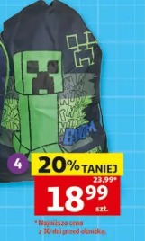 Worek Minecraft