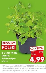 K-Stąd Takie Dobre Polska mięta