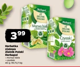 Herbatka ziołowa Zielnik Polski Herbapol