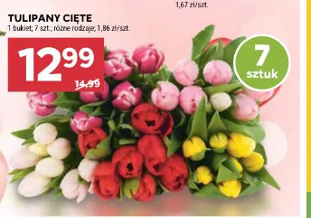 Tulipany cięte