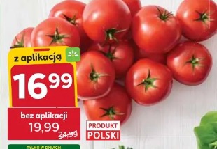 Polskie Pomidory malinowe