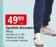 Spodnie dresowe Moraj