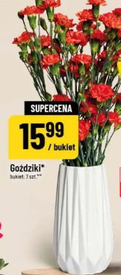 Goździki