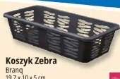 Koszyk Zebra Branq