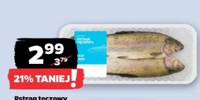 Pstrąg tęczowy patroszony Mirko