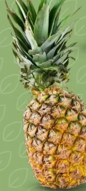 Ananas