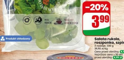 Sałata rukola, roszponka, szpinak