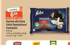 Karma dla kota Felix Sensations/Fantastic Purina