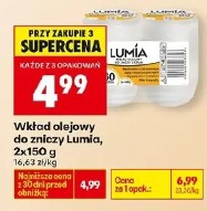 Wkład olejowy do zniczy Lumia