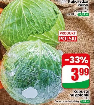 Kapusta na gołąbki