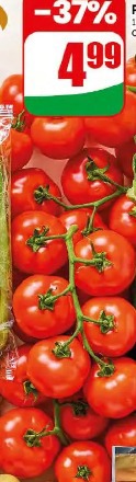 Pomidor