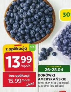 Borówki amerykańskie