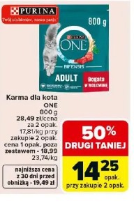 Karma dla kota ONE PURINA