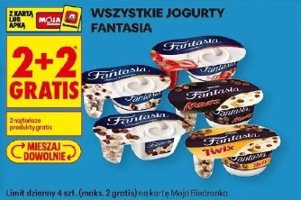 Wszystkie jogurty Fantasia
