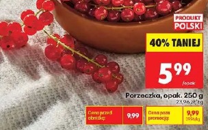 Porzeczka