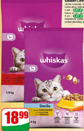 Sucha karma dla kota Whiskas