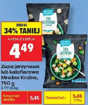 Zupa jarzynowa lub kalafiorowa Mrożna Kraina