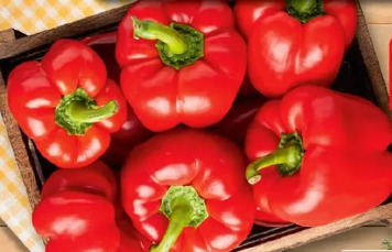 Papryka czerwona