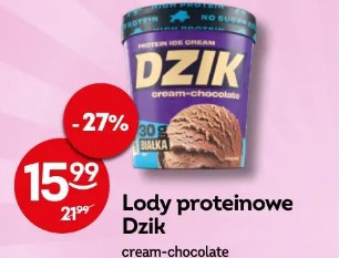 Lody proteinowe Dzik