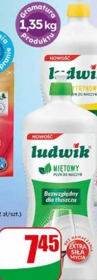 Płyn do mycia naczyń Ludwik