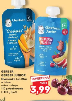 Gerber, Gerber Junior Owsianka lub Mus w tubce