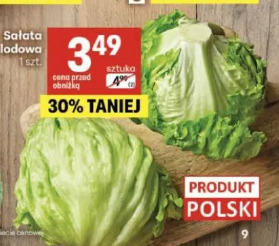 Sałata lodowa