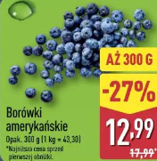 Borówki amerykańskie