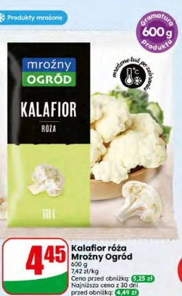 Kalafior róża Mroźny Ogród