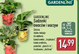 Gardenline Sadzonki owoców i warzyw