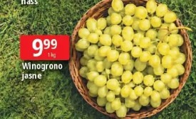 Winogrono jasne