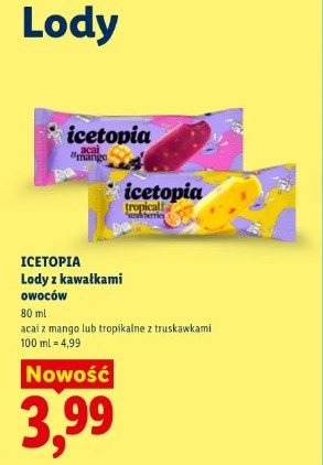 Icetopia Lody z kawałkami owoców