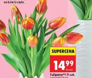 Tulipany