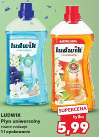 Ludwik Płyn uniwersalny