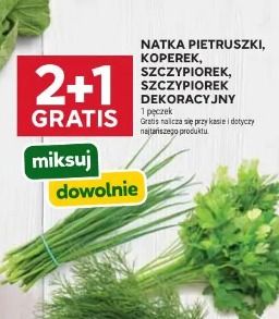 Natka pietruszki, koperek, szczypiorek, szczypiorek dekoracyjny