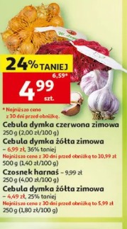 Cebula dymka czerwona zimowa