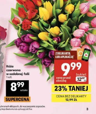 Róża czerwona w ozdobnej folii