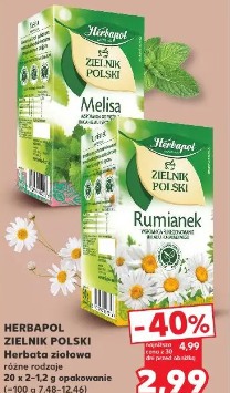 Herbapol Zielnik Polski Herbata ziołowa