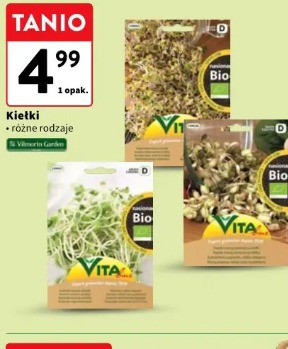 Kiełki Vita