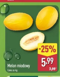 Melon miodowy