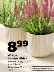 Wrzos Garden Girls