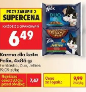 Karma dla kota Felix Fantastica, Duo, Jellies