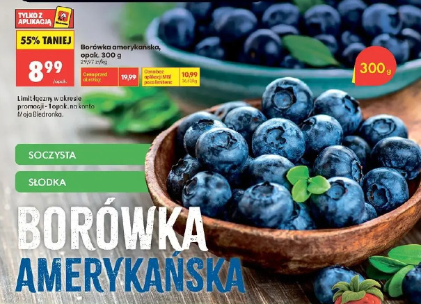Borówka ametykańska