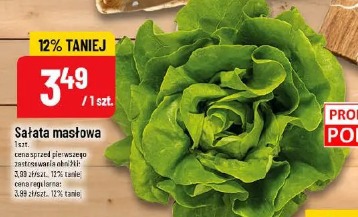 Sałata masłowa