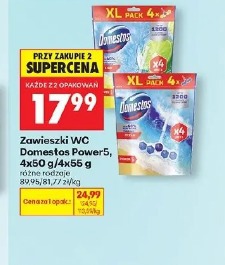 Zawieszki WC Domestos Power5